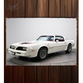 Металлическая табличка Pontiac Firebird Trans Am T A 6.6 RPO W72 Hurst T-Top